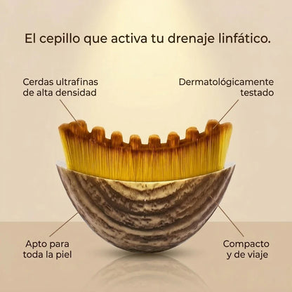 Cepillo Para Masajes de Drenaje Linfatico